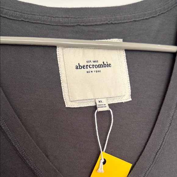 Abercrombie & Fitch Charcoal V-Neck Tee - Picture 3 of 3